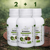 Red Reishi Capsules x 60 – Immune & Stress Support - Moringa Life