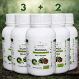 Red Reishi Capsules x 60 – Immune & Stress Support - Moringa Life