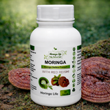 Moringa Capsules x 120 with Added Red Reishi – Immune & Energy Support